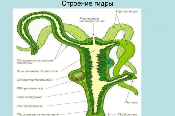 Официальный сайт кракен тор