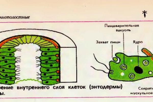 Ссылка кракен магазин